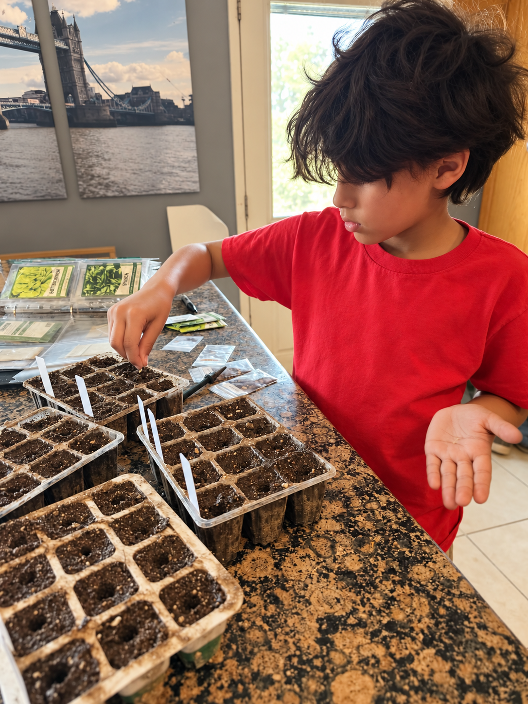 Planting seeds in starter trays at home