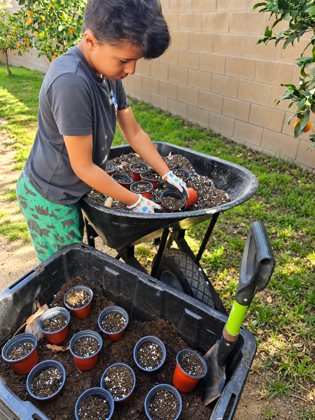 Filling starter pots in our backyard garden